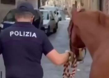 A Catania: spesso quando puzza è proprio lei…