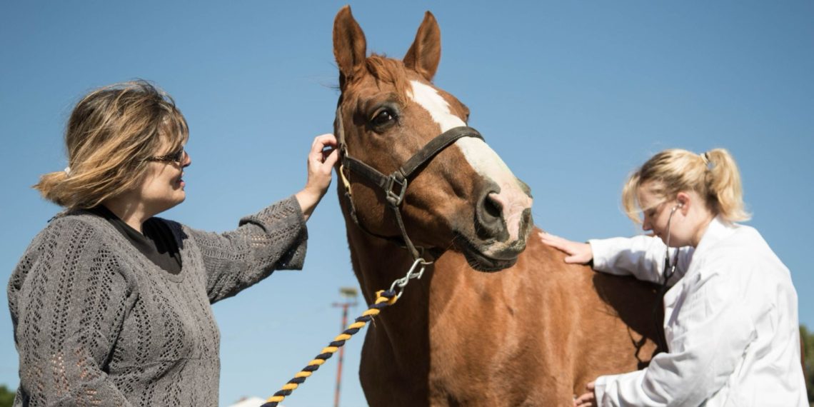 Agria Assicurazioni e World Horse Welfare
