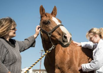 Agria Assicurazioni e World Horse Welfare