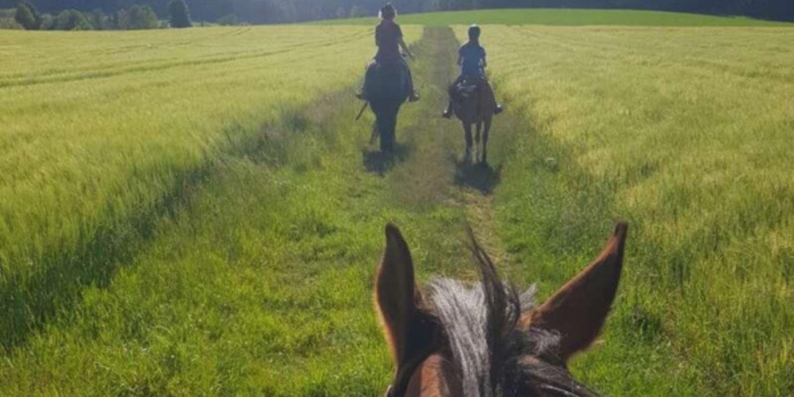 Germania: cresce il turismo equestre sostenibile