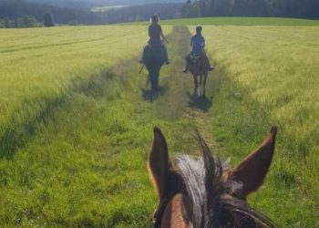 Germania: cresce il turismo equestre sostenibile