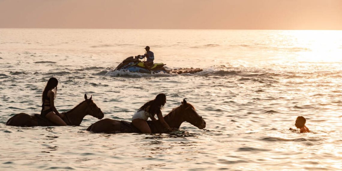 Equine Wellness Retreats: il lusso della connessione emotiva
