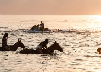 Equine Wellness Retreats: il lusso della connessione emotiva