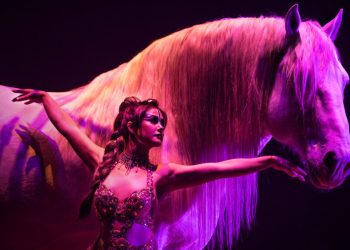 Cirque Ma’Ceo Equestrian Show