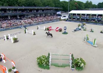Rotterdam: a Karl Cook il Gran Premio