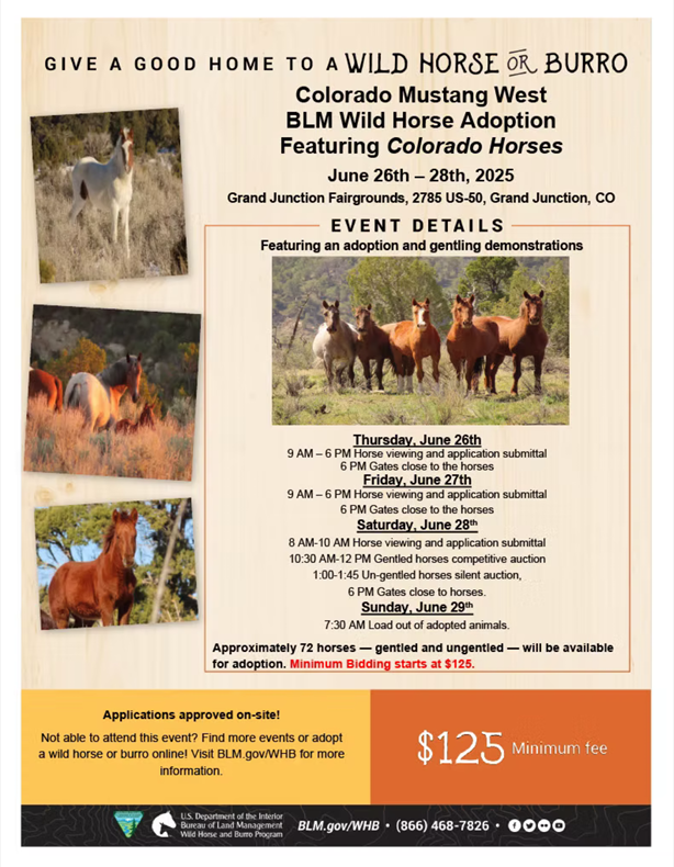 blm adoption flyer