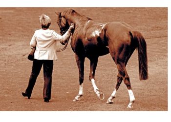 Franca Vittadini, una italiana di casa ad Ascot