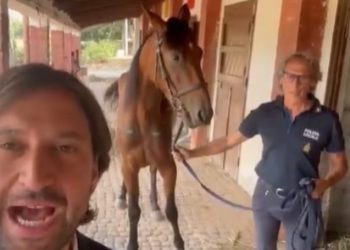 Palermo, Freedom LZ c’è: e la stanno curando bene