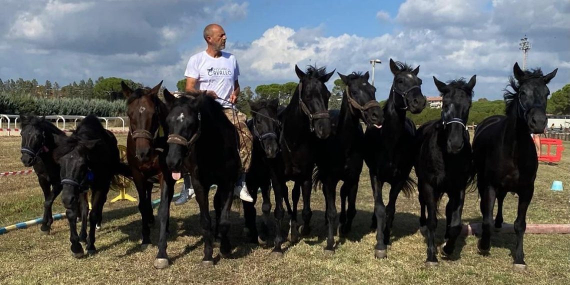 Pomarance, torna la Rassegna del Cavallino di Monterufoli