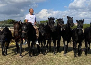 Pomarance, torna la Rassegna del Cavallino di Monterufoli