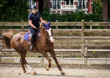 Amalia, anche le principesse cadono da cavallo