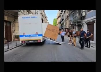 Palermo, preso in custodia  il cavallo e sanzionato il guidatore