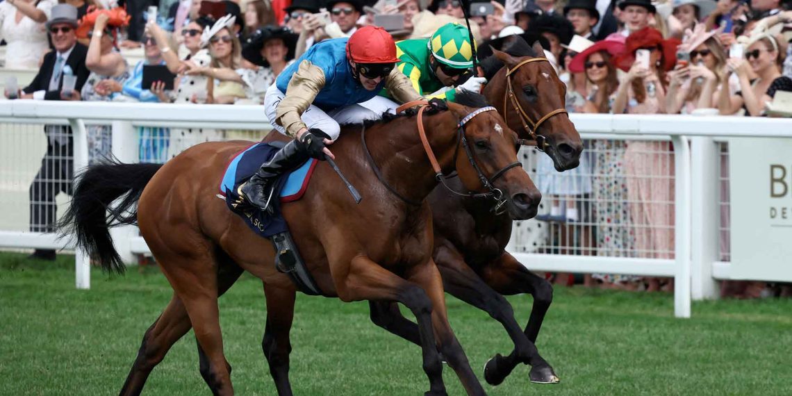 Lazzat in fuga per la vittoria