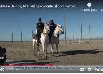 Polizia municipale a cavallo? Anche Viareggio c’è!