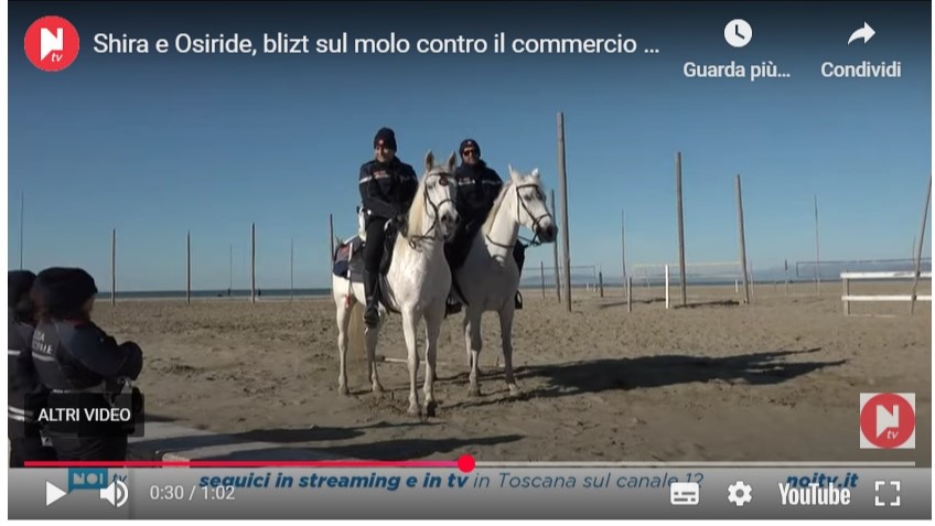 Polizia municipale a cavallo? Anche Viareggio c’è!