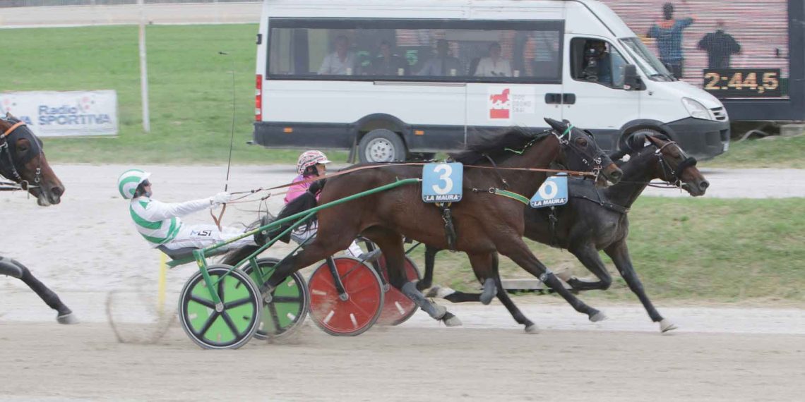 Spettacolare notturna di trotto a Milano col Gp Nazionale