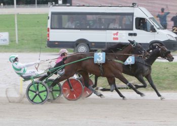 Spettacolare notturna di trotto a Milano col Gp Nazionale