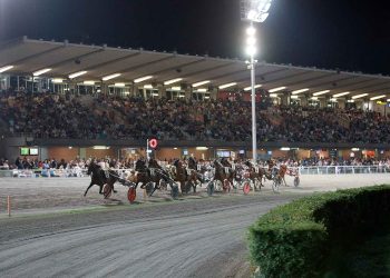 HippoGroup Cesenate presenta la grande ippica del Savio 2025