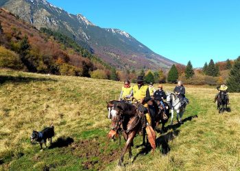 Il turismo lento verso Fieracavalli