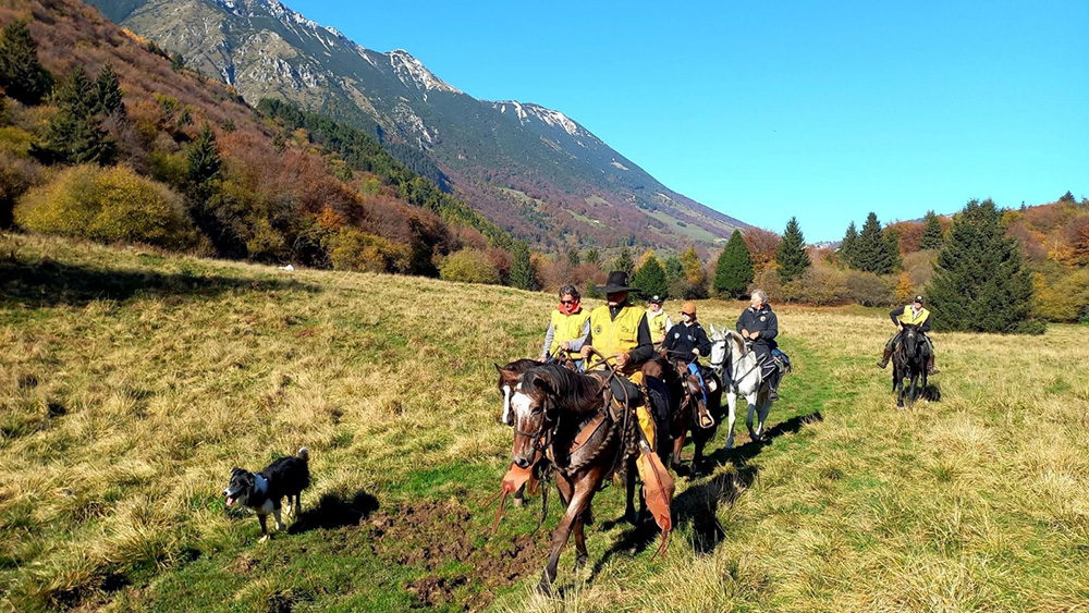 Il turismo lento verso Fieracavalli