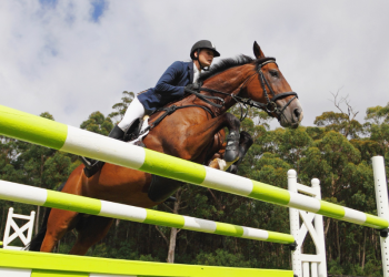 L’importanza dei globuli rossi nel cavallo sportivo