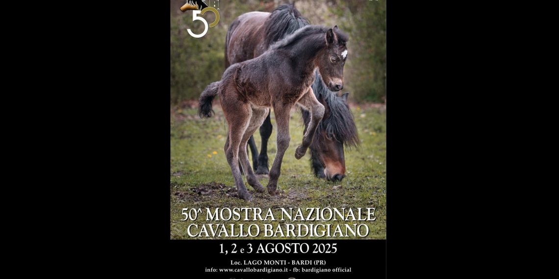 50 anni di Mostra nazionale, il Bardigiano festeggia!