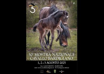 50 anni di Mostra nazionale, il Bardigiano festeggia!