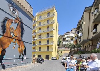 Moby Dick e i cavalli della Tolfa