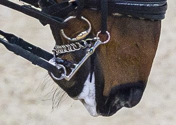 Salivazione indotta: la Fei dice no