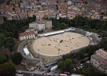 Simone Panichi: la forza delle passioni