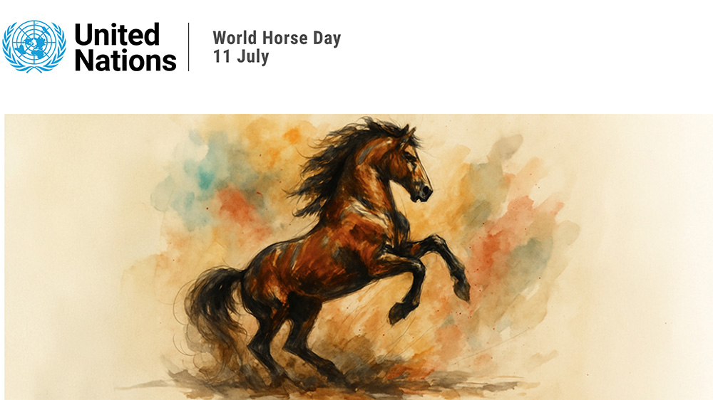 La Giornata Mondiale del Cavallo