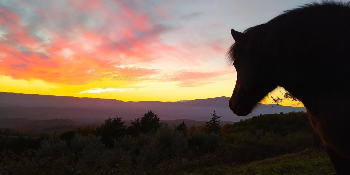 Un’estate (quasi) brada: quando il da farsi lo decidono loro