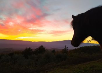Un’estate (quasi) brada: quando il da farsi lo decidono loro