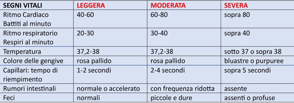 SEGNI VITALI 1024x358