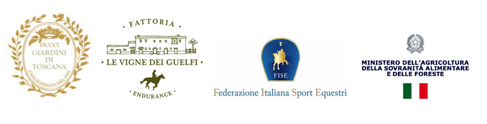 Senza titolo 1 copia