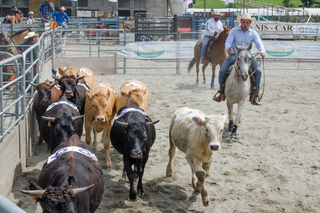 Valsassina Country Festivall 1 1024x683