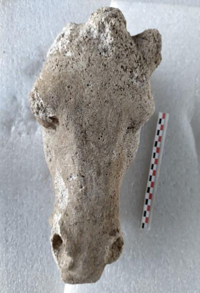 f15 tete dessus cheval