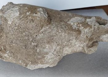 A Toul riaffiorano pezzi di cavallo…