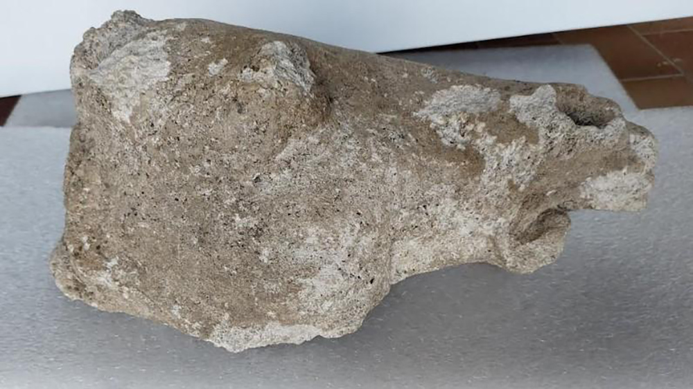 A Toul riaffiorano pezzi di cavallo…