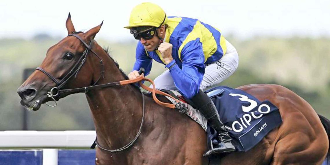 Tutto pronto ad Ascot per le King George VI and Queen Elizabeth Stakes