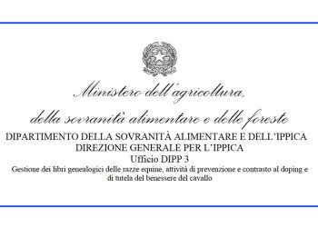 Sella, Orientale e Anglo Arabo: obiettivo Masaf ottimizzare – aggiornamento