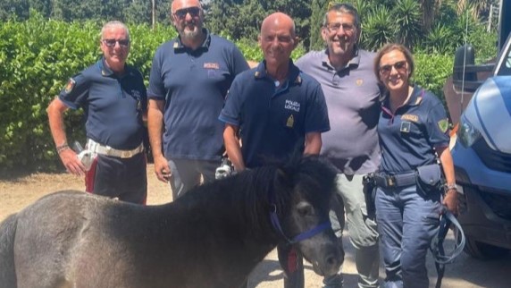 Toretto, piccolo pony grande ambasciatore