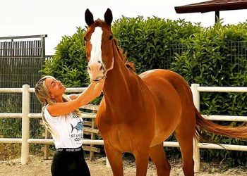 West Nile: non sottovalutiamo il problema