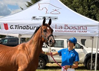 Il sogno di Gloria: la generosità vale più dell’oro