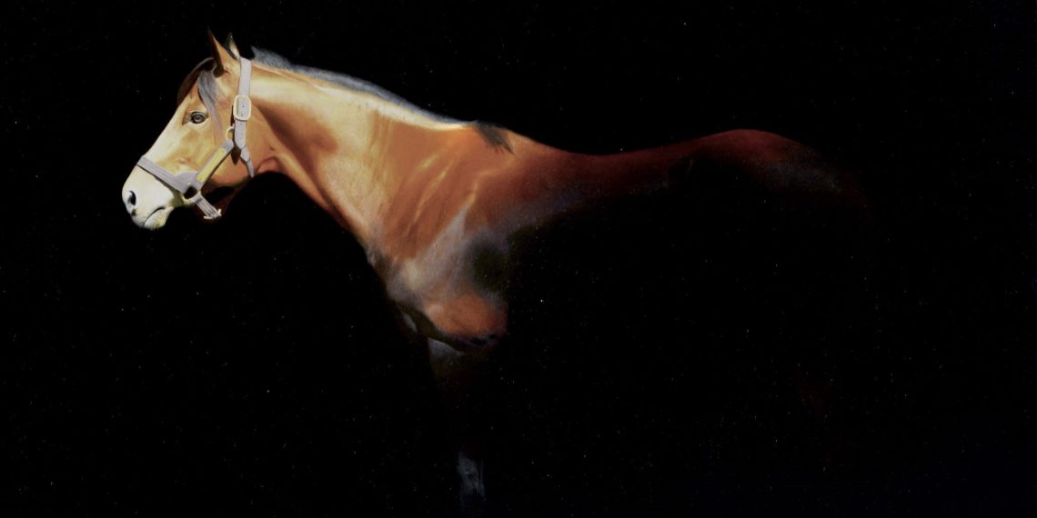 Alla Biennale della Riviera Romana premiato Michi Grassi, pittore equestre