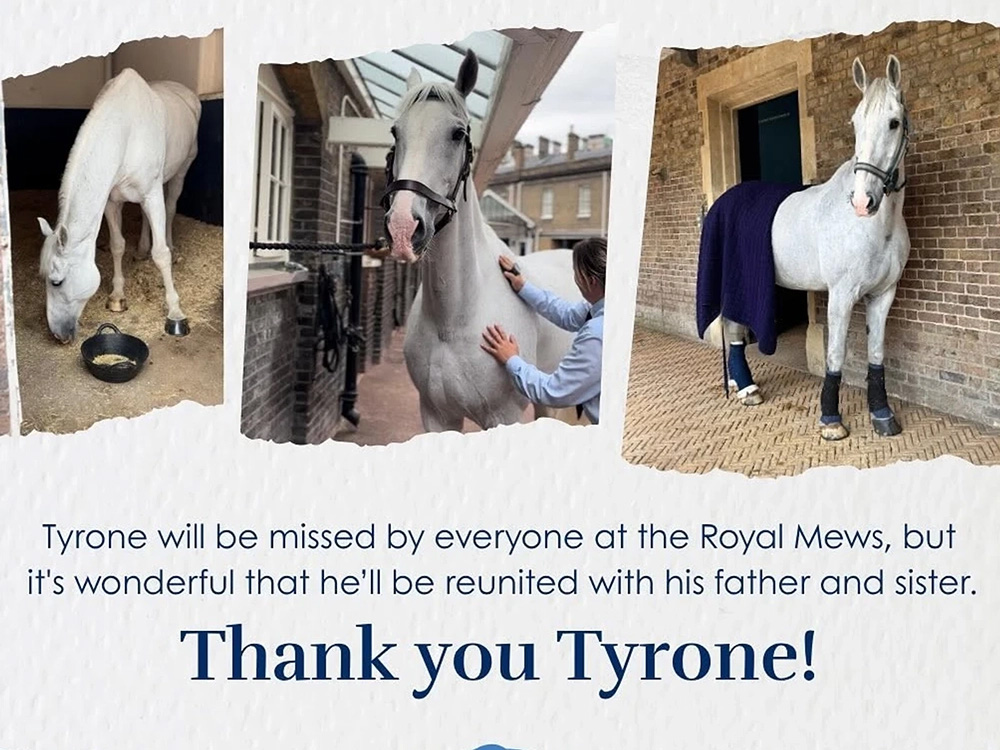 buckingham palace tyrone message copia