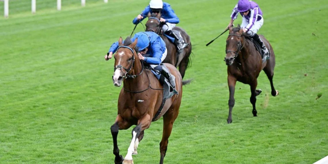 Ombudsman vittorioso nelle Juddmonte Interanational Stakes