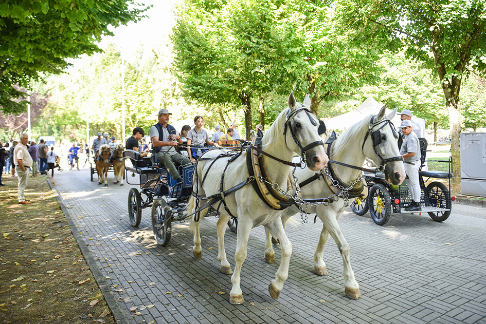 DSC_0082 DSC 0082