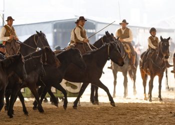 Fieracavalli 2025: la biglietteria è aperta!