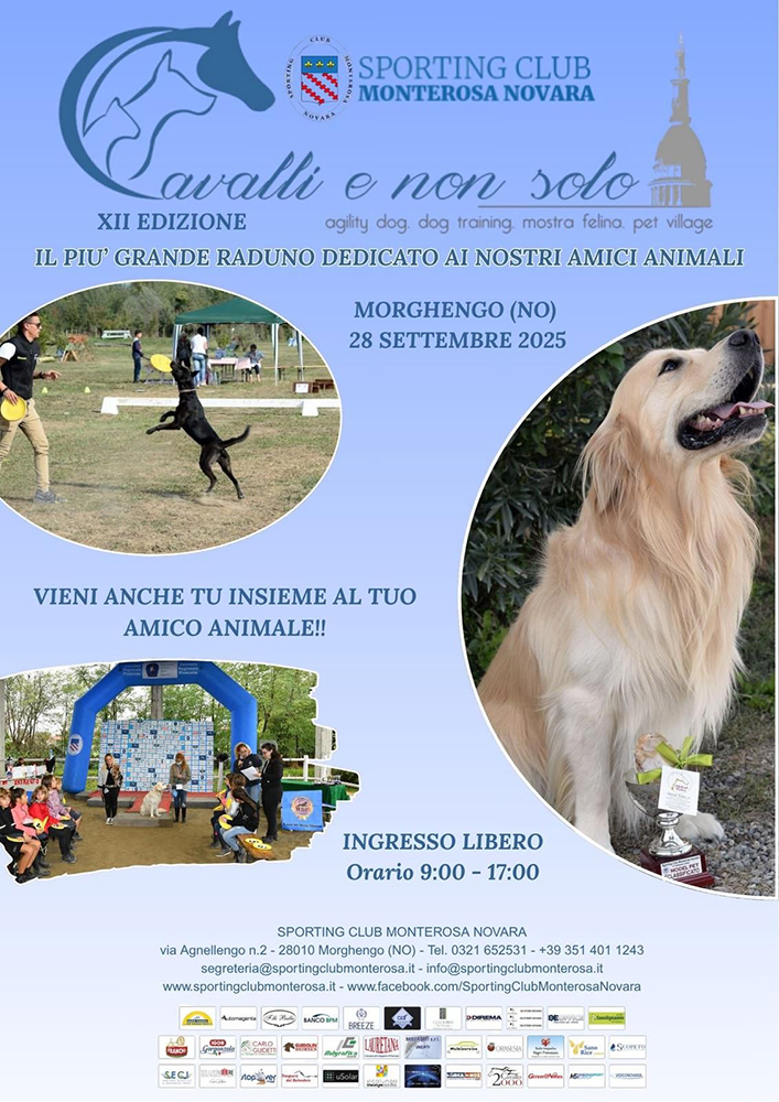 Locandina